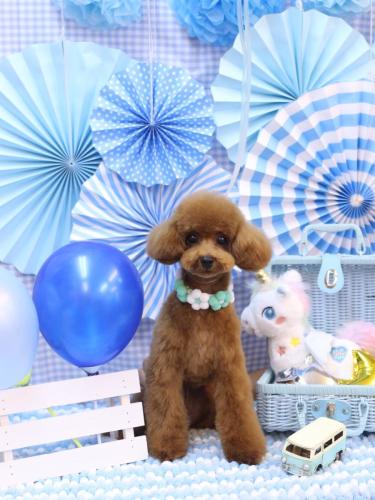 20231103モコちゃん